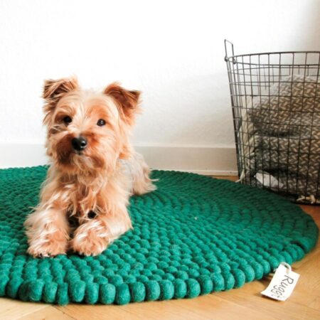 grøn kugletæppe med lille sød hund